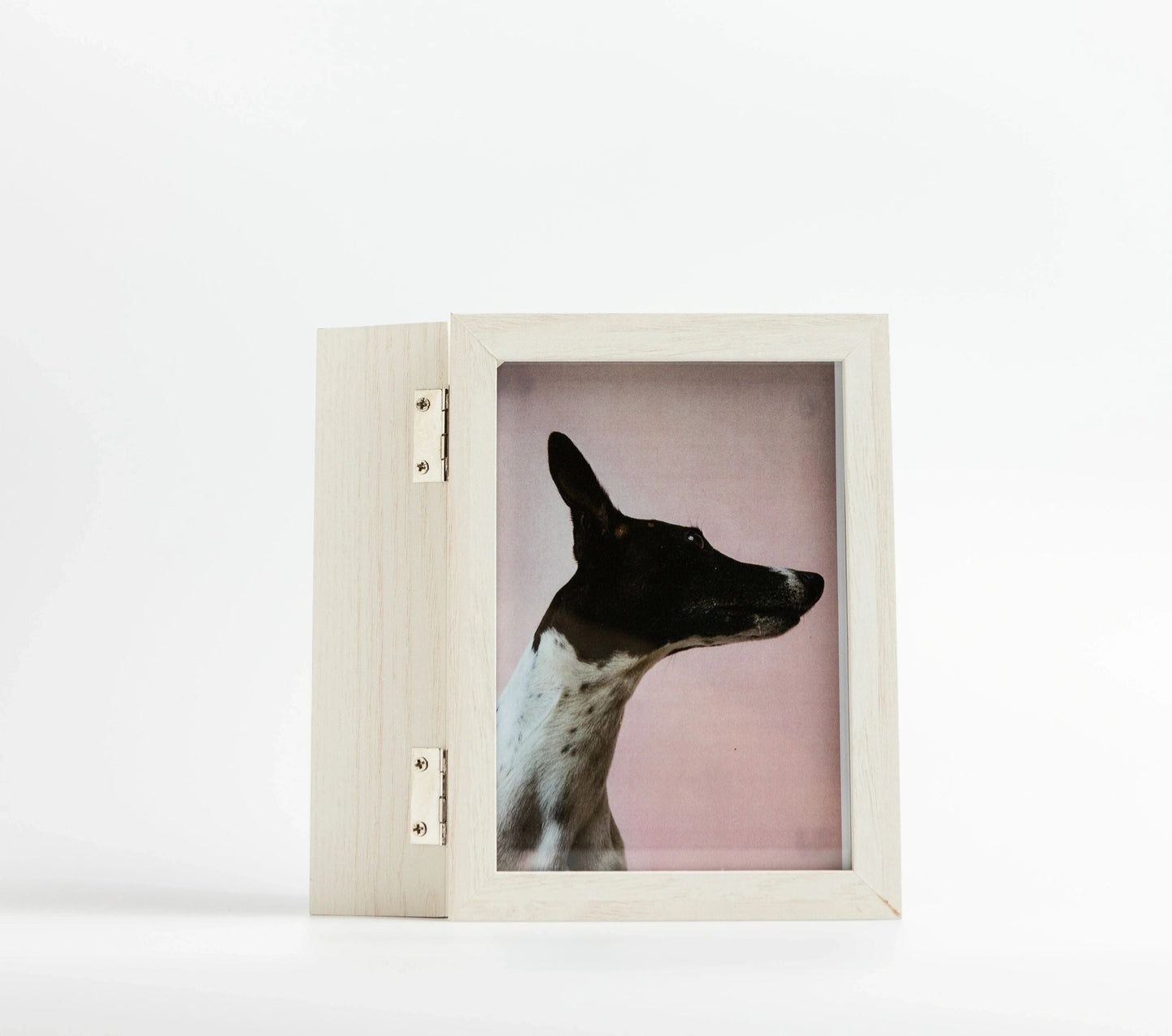 Foam Paw Print with Photo Frame