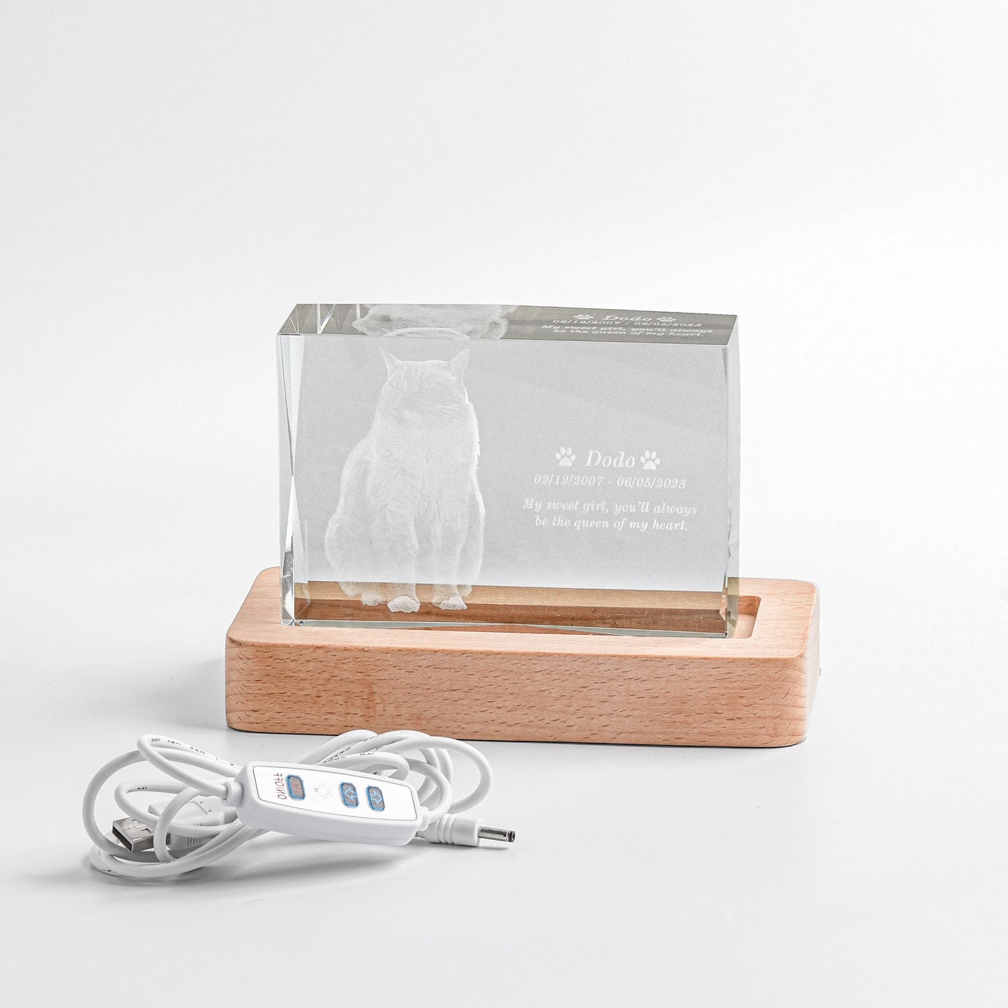 LED Crystal Memorial Light