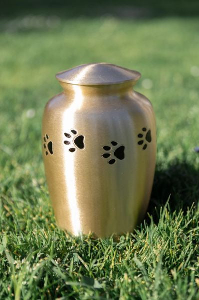 Paw Prints Bronze Metal Urn