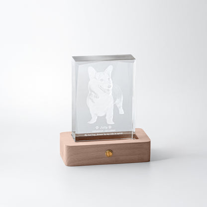 LED Crystal Memorial Light