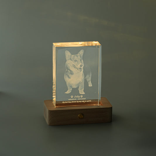 LED Crystal Memorial Light